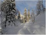 Koča pri Savici - Planina Lopučnica